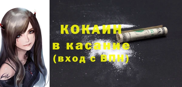 дживик Сосновый Бор