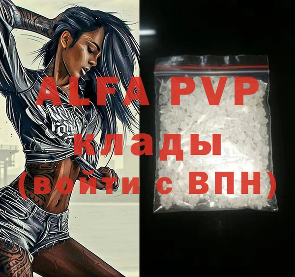 дживик Сосновый Бор