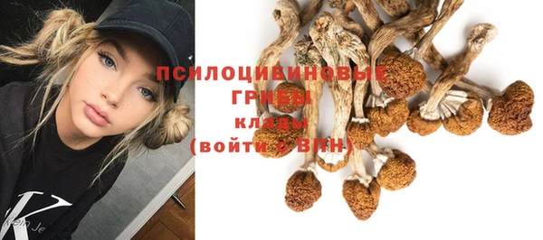 прущие грибы Сосновоборск