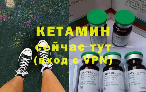 дживик Сосновый Бор