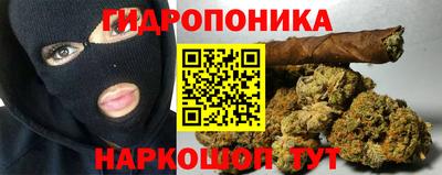 шишки Ливны