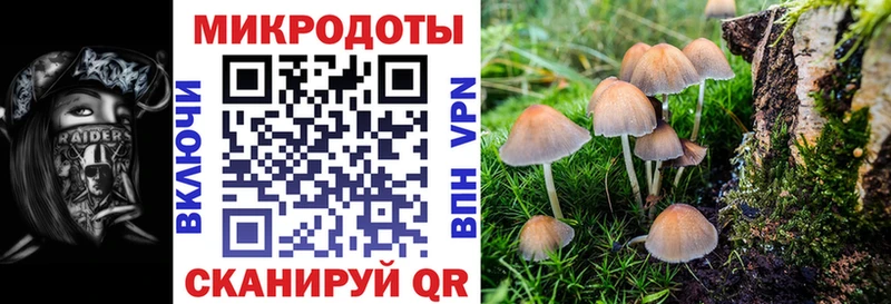 Псилоцибиновые грибы мухоморы  Ефремов 