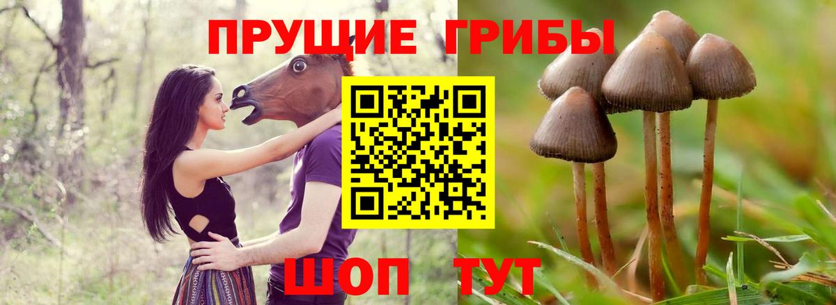 Ефремов  купить закладку  Вход с VPN  Псилоцибиновые грибы мухоморы  Галлюциногенные грибы мухоморы 